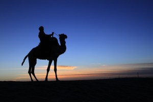 beyond the blue veil