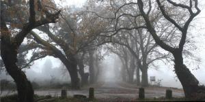 alt-do-minho-3_dynamic_lead_slide