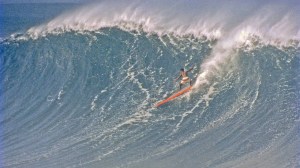 large_Hawaiian_2_PUBS