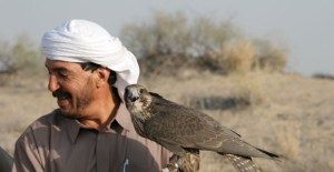 Disarming-Falcons-Key-Image-Photo-by-Albert-Larew-580x300