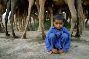 DESERT-RIDERS-master675