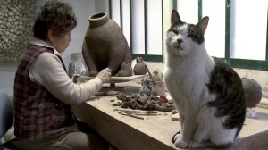 1201x782-KEY-IMAGE-KASAMAYAKI_1_KEY-copy-1-1160x652