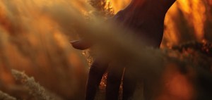 everythreeseconds_flat1-1412144073