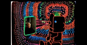 Is-the-the-Man-who-is-Tall-Happy-Key-Image-580x300