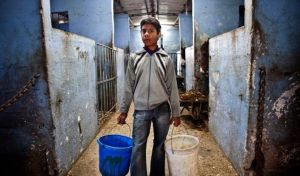 03_CNL_Ive-seen-the-Unicorn