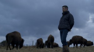 1201x782-KEY-IMAGE-BUFFALO-DREAMS_main-still-copy-1160x652