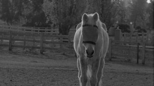 1201x782-KEY-IMAGE-Last-Stop-in-Santa-Rosa-Production-Still-3-copy-1160x652