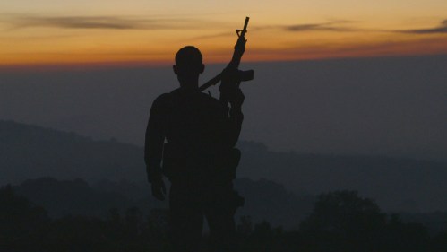 cartel land