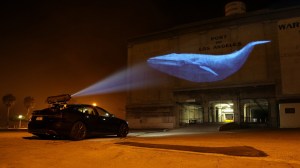 racing extinction
