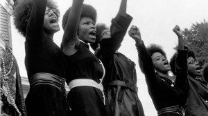 black panthers
