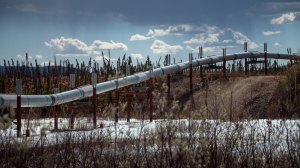 zoom_1422386121_TOPOPHILIA_2015_PeterBoRappmund_1@2x