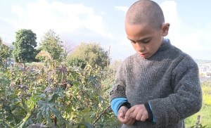 F0_0540_0329_penniesJFF15