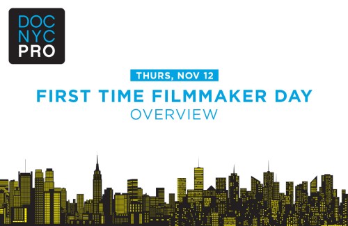 docnycpro-1-overview