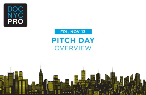 docnycpro-2-overview