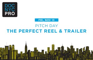 docnycpro-2-perfectreel