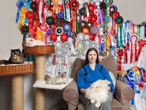 cat show