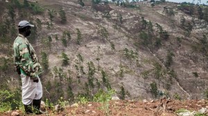 Death_by_a_Thousand_Cuts_2