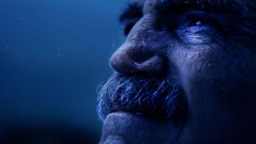 garnets_gold_still_6