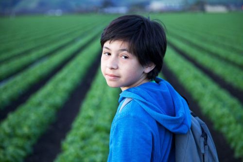 east-of-salinas-jose-field2-1024x683