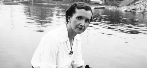 rachel carson