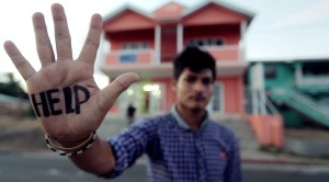 the_lambirds-1-e1485207595507-1024x568